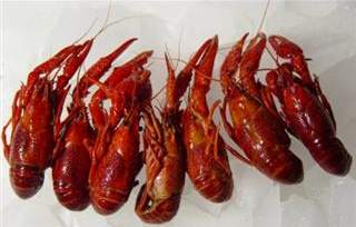 Global B2B directory Global trade lead